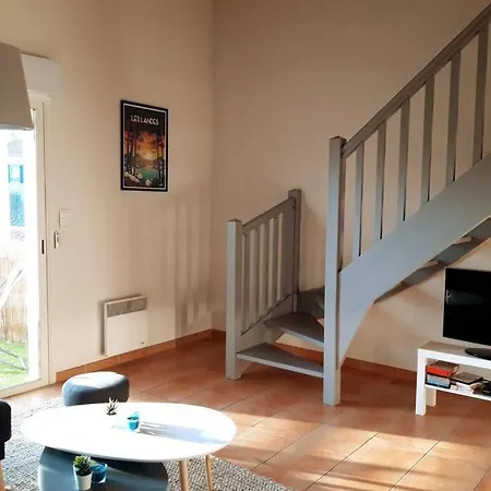 Appartement T3 Duplex Lumineux En Centre-ville Avec Terrasse A 10mn