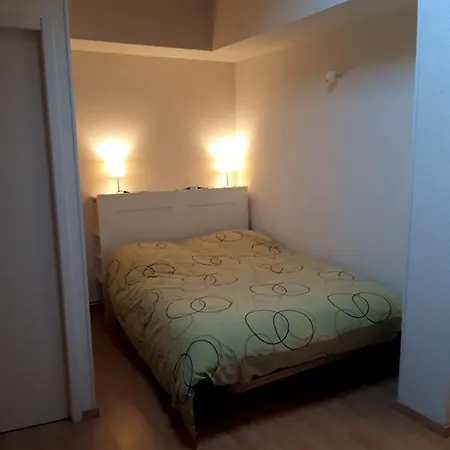 דירה T3 Duplex Lumineux En Centre-ville סוסטון