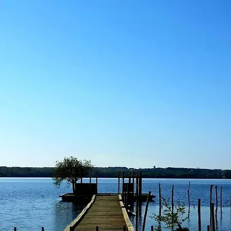 T3 Duplex Lumineux En Centre-ville