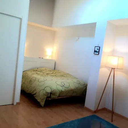 T3 Duplex Lumineux En Centre-ville Lägenhet *