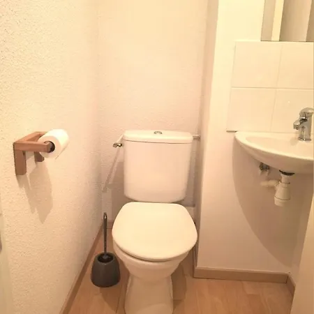 Appartement T3 Duplex Lumineux En Centre-ville Avec Terrasse A 10mn *