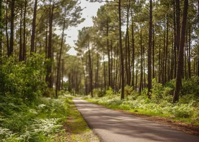 Apartamento T3 Duplex Lumineux En Centre-ville Soustons